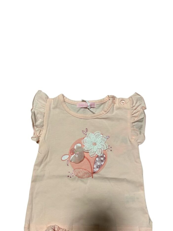 Completo bimba