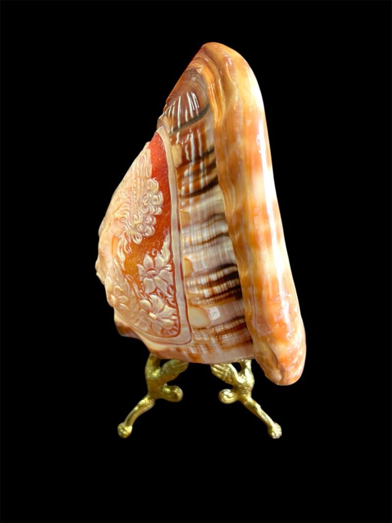 Lampada conchiglia - immagine 6