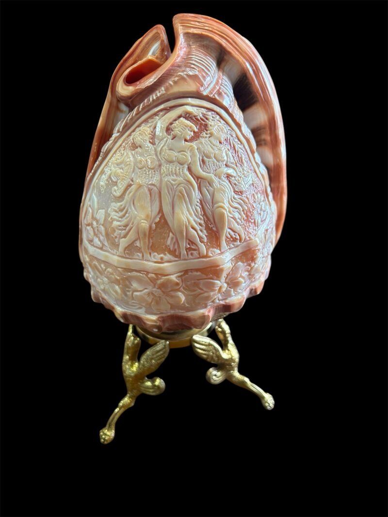 Lampada conchiglia - immagine 5