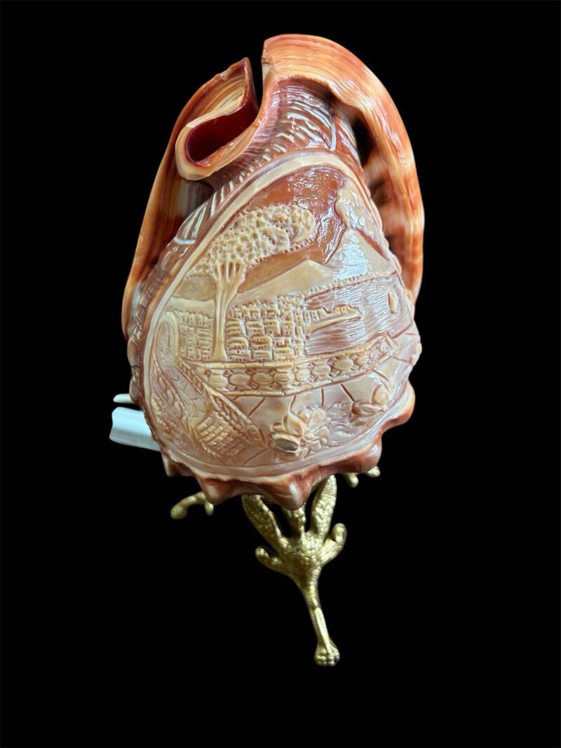 Lampada conchiglia - immagine 3