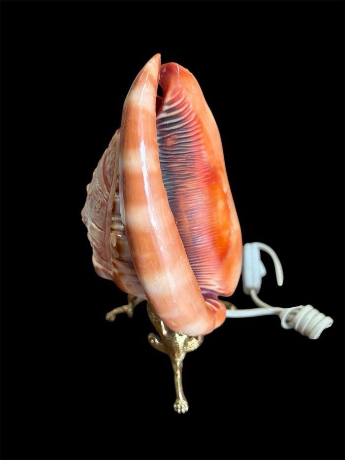 Lampada conchiglia