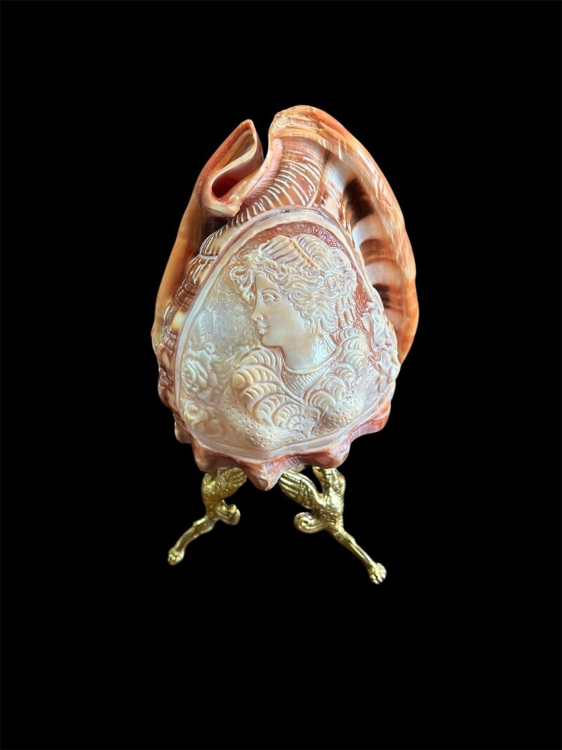 Lampada conchiglia - immagine 2